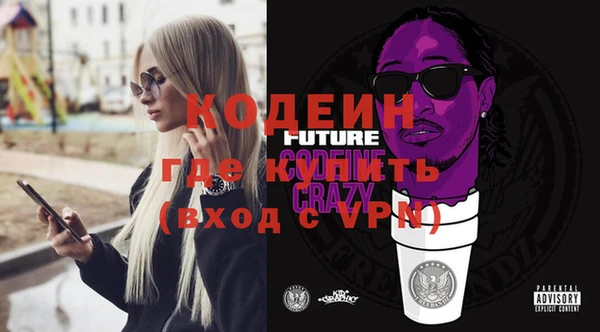 тгк Ельня