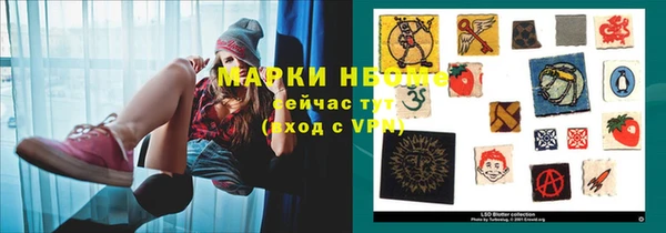 тгк Ельня