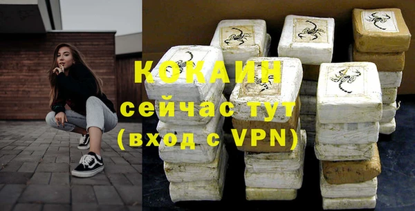 тгк Ельня