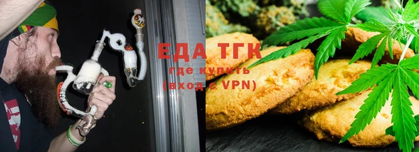 тгк Ельня