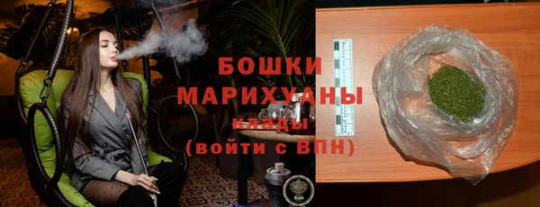 тгк Ельня