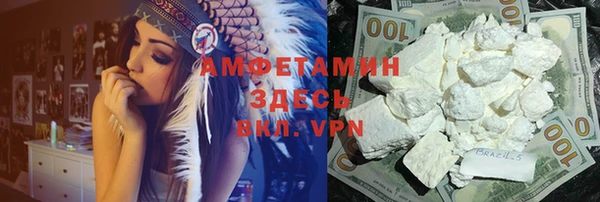 тгк Ельня